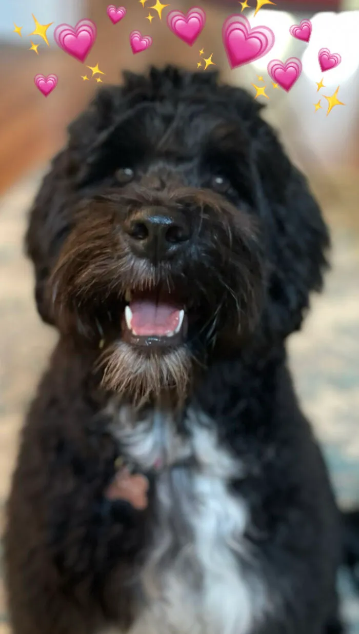 Pepper