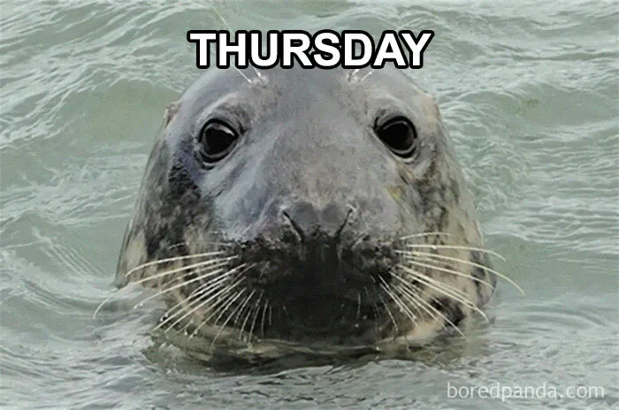 Thursday Mood
