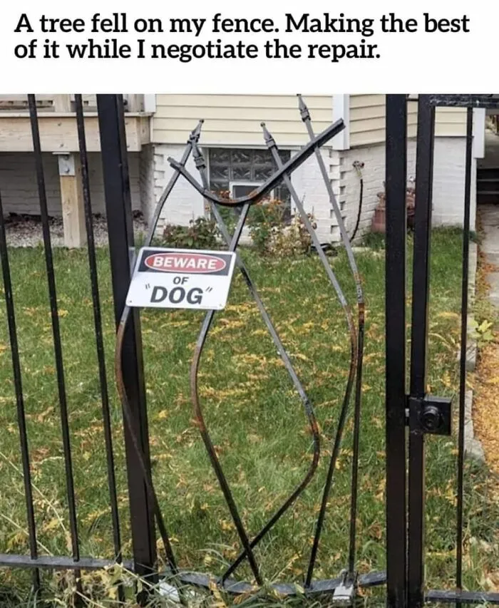 Hilarious-Dog-Memes