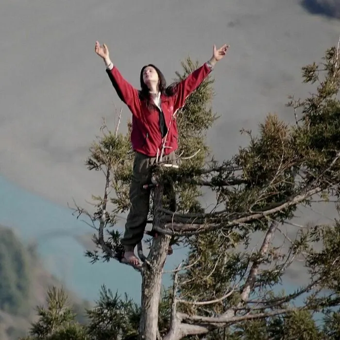 For 738 Days, Between 1997 And 1999, Julia ‘Butterfly’ Hill Lived In The Canopy Of An Ancient Redwood Tree In California Called Luna On Two 6 X 4 Foot Platforms