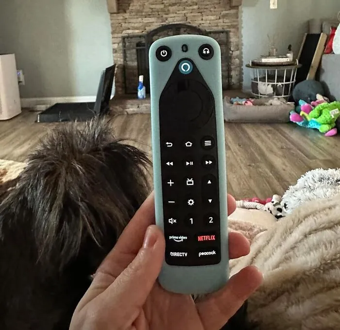 <span Style="Font:inherit;color:#d74b1f;"> Amazon Alexa Voice Remote </Span>: For The Dad That Wishes He Was The Lead In The Movie 'Her'