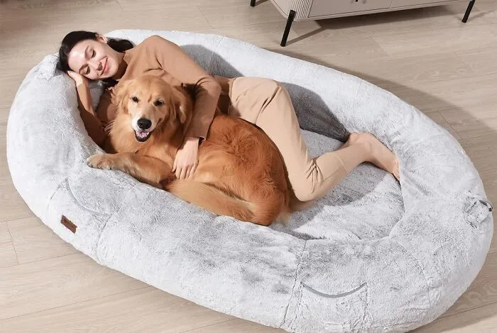 This <a Style="Display:inline;" Href="Https://Www.amazon.com/Human-Dog-Bed-People-Large/Dp/B0ct653p7n?dib=eyj2ijoimsj9.9mecowoea25qswezibs6hemycxuog87jj6dqyshibbj06ofwulhcqo9jqyqsp0fanpvqkio4-Eammc_pzx8uiokrulbbv5d58dfbfx5agtn4fqpdq2og_hytsjs_-Dxi-8ej0awqs9-Lkgmbkxsblrrlzv58-Zf8bltiisismxx9fpys9iedxlmrk_fxj8hvg43uflcc8xj7amym9toclrsagqkhsatrtv7b94lm63jexsffp_twgfp68npzsk5rgrslghfylzowo9r3yx6qmvg9bjw6fyg0jdh7wutqawo.1z55by-Xjaviqzbohfgdsdi2ecqlfeahyn9htxrbnss&dib_tag=se&keywords=human%2bdog%2bbed&qid=1717421433&sr=8-5&th=1&linkcode=ll1&tag=bpsquid-20&linkid=58d228482e6153c45ed4e00b5b6c1051&language=en_us&ref_=as_li_ss_tl" Target="_blank"><span Style="Font:inherit;color:#d74b1f;"> Human Dog Bed For People </Span> Will Quickly Become Your New Favorite Spot For A Nap