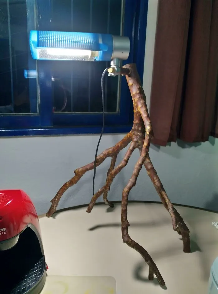 My Lamp Base Broke, But I'm A Woodworker