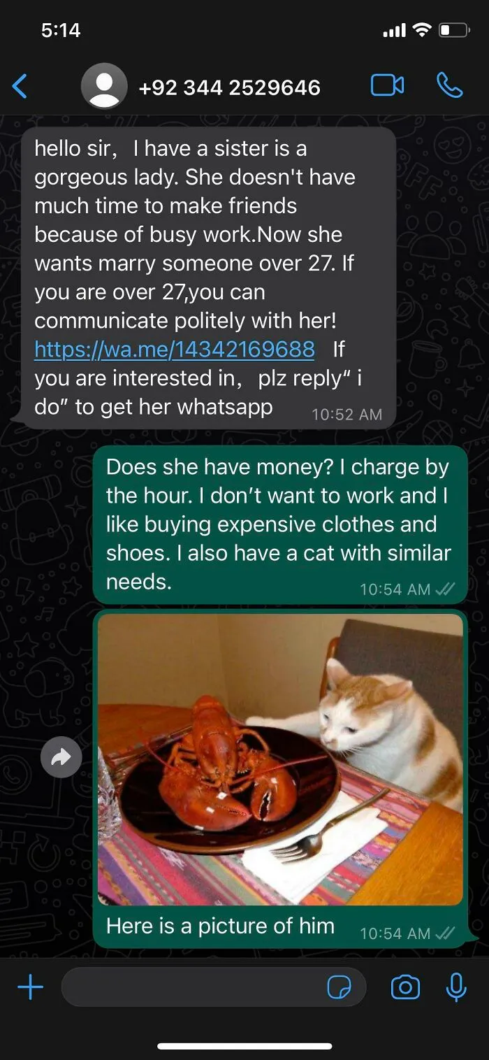 Bait Not Taken