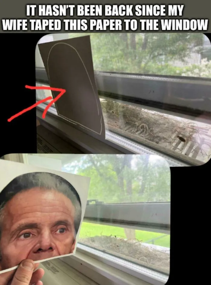 A Bird Started A Nest On Top Of The Air Conditioner