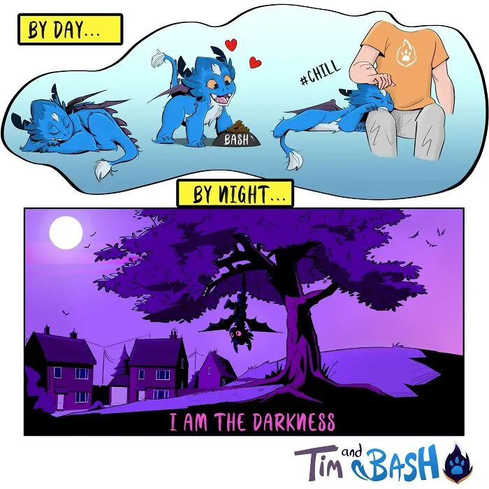 Bash's Secret Night Life