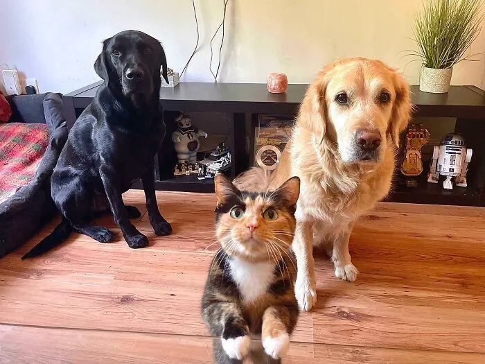 When Dinner Is 7 PM And It’s Already 7:01 PM