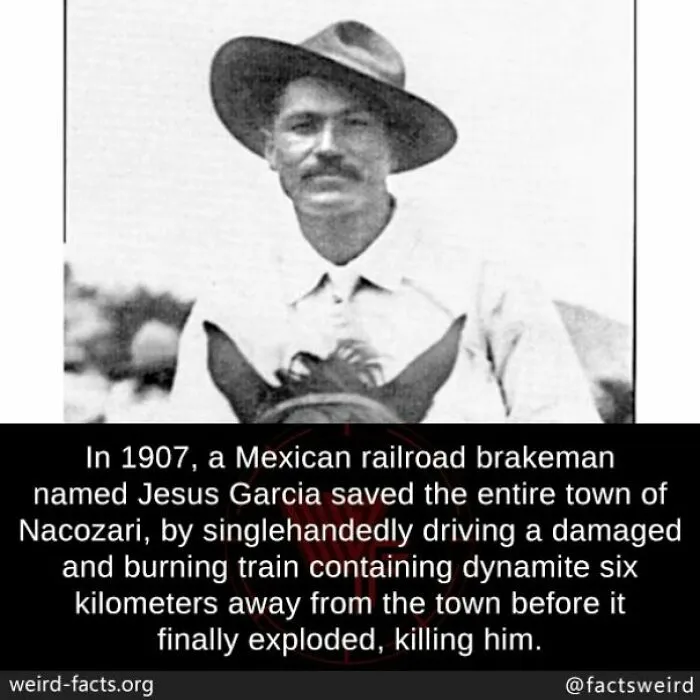 50 “Weird Facts” That You Might Not Have Known Before Today (New Pics)