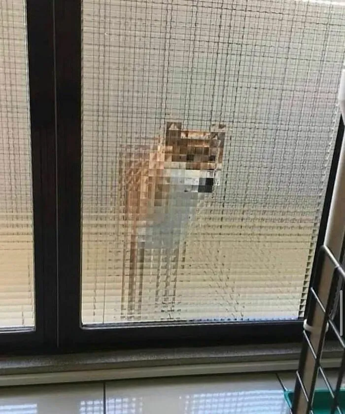 Perro pixelado detrás de una puerta de vidrio texturizado en una imagen realmente incómoda y divertida.