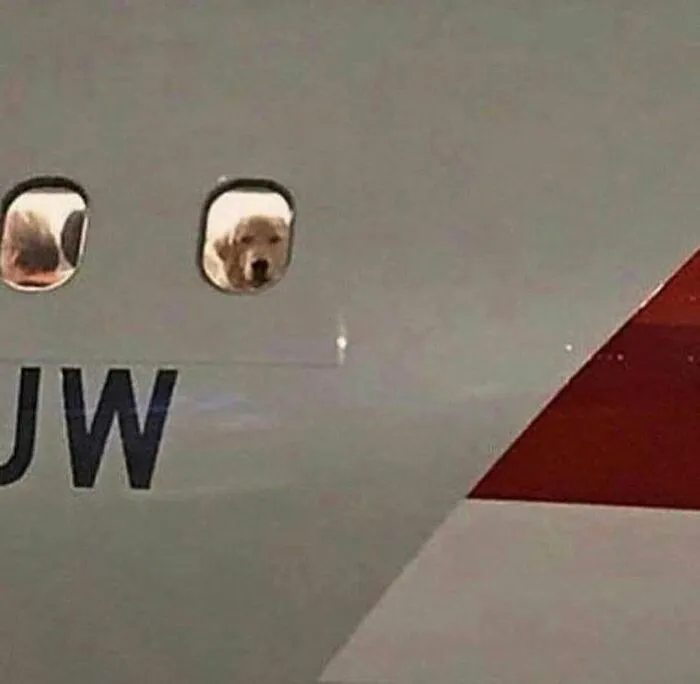 50 Random Photos For Those With A Unique Sense Of Humor (New Pics)