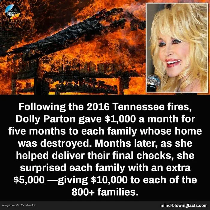 “You Won't Be Leaving This Page Without Learning Something New!” 50 Of The Most Interesting Facts (New Pics)