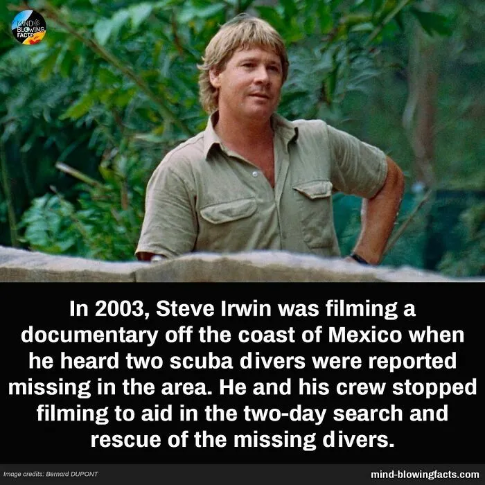 “You Won't Be Leaving This Page Without Learning Something New!” 50 Of The Most Interesting Facts (New Pics)