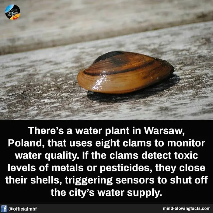 “You Won't Be Leaving This Page Without Learning Something New!” 50 Of The Most Interesting Facts (New Pics)