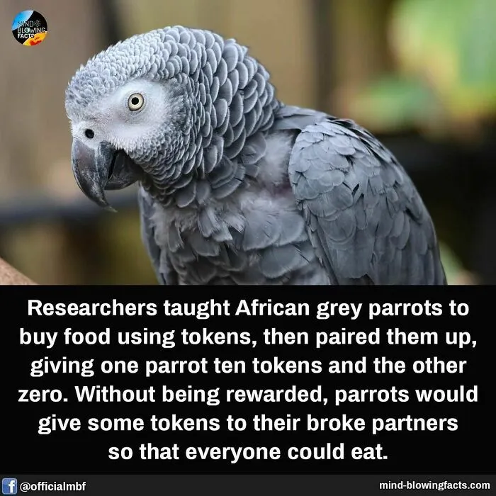 “You Won't Be Leaving This Page Without Learning Something New!” 50 Of The Most Interesting Facts (New Pics)