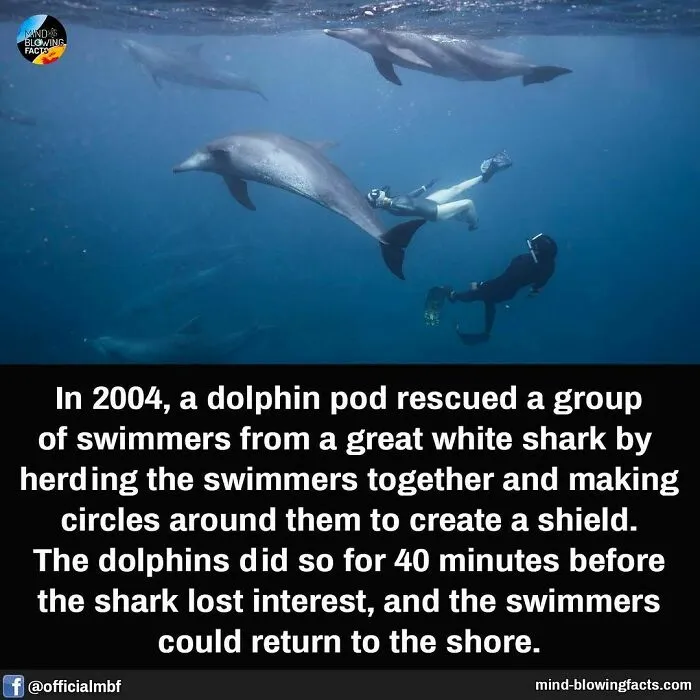 “You Won't Be Leaving This Page Without Learning Something New!” 50 Of The Most Interesting Facts (New Pics)