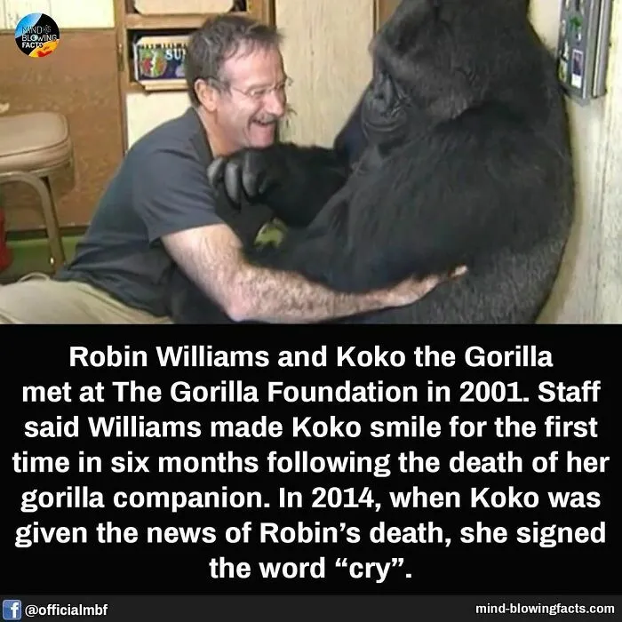 “You Won't Be Leaving This Page Without Learning Something New!” 50 Of The Most Interesting Facts (New Pics)