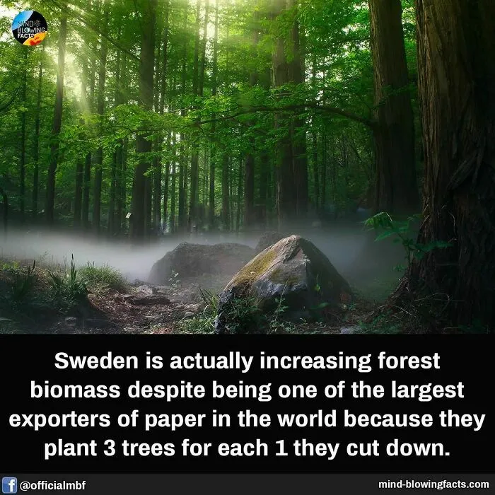“You Won't Be Leaving This Page Without Learning Something New!” 50 Of The Most Interesting Facts (New Pics)