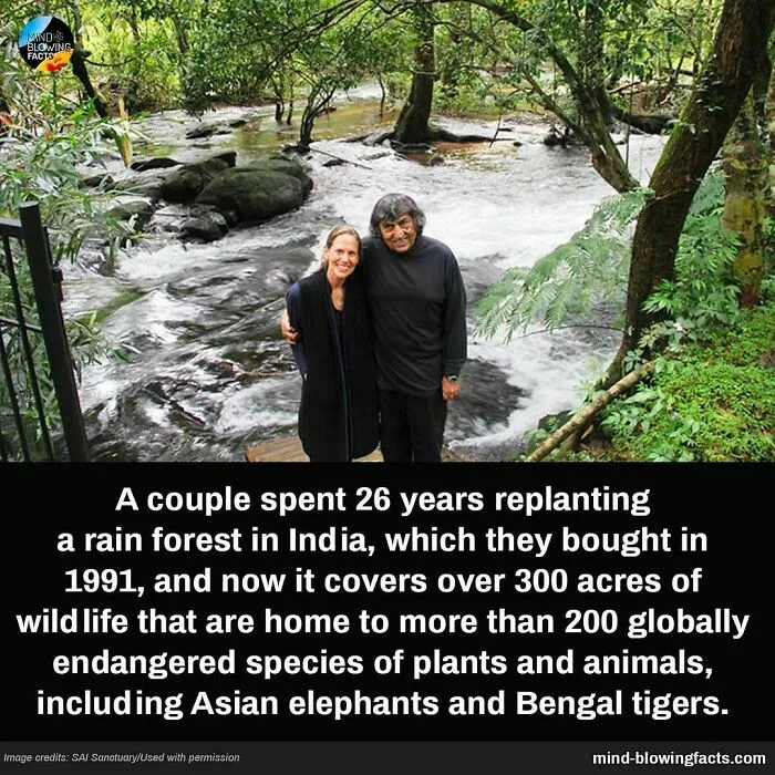 “You Won't Be Leaving This Page Without Learning Something New!” 50 Of The Most Interesting Facts (New Pics)