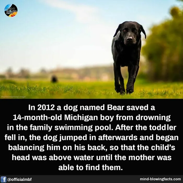 “You Won't Be Leaving This Page Without Learning Something New!” 50 Of The Most Interesting Facts (New Pics)