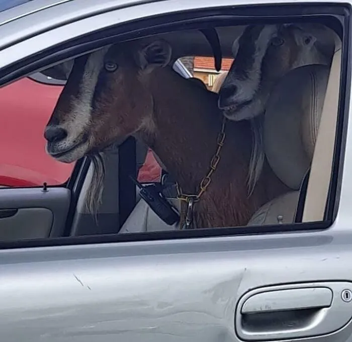 30 Unhinged Pics That Ended Up On This Online Group, Dedicated To The Weird And Questionable (New Pics)