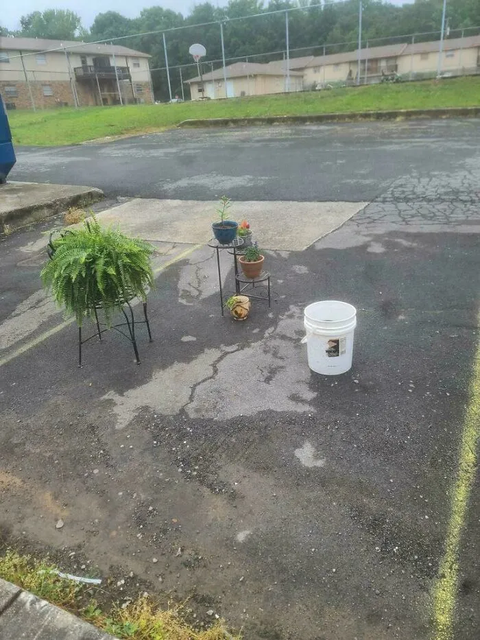 Mi vecina (vivimos en apartamentos) sigue haciendo esto porque no quiere que nadie estacione al lado de su auto (no es discapacitada)