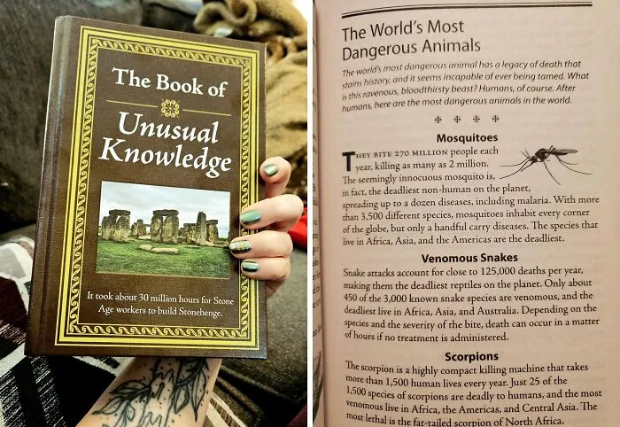<a Style="Display:inline;" Href="Https://Www.amazon.com/Unusual-Knowledge-Editors-Publications-International/Dp/1450845800?ie=utf8&linkcode=ll1&tag=bpgoat-20&linkid=21c63a9bcdafe350b5ce6c7858cd24c3&language=en_us&ref_=as_li_ss_tl " Target="_blank">  Think You Know It All? Think Again With <span Style="Font: Inherit; Color: #d74b1f;"> 'The Book Of Unusual Knowledge' </Span>