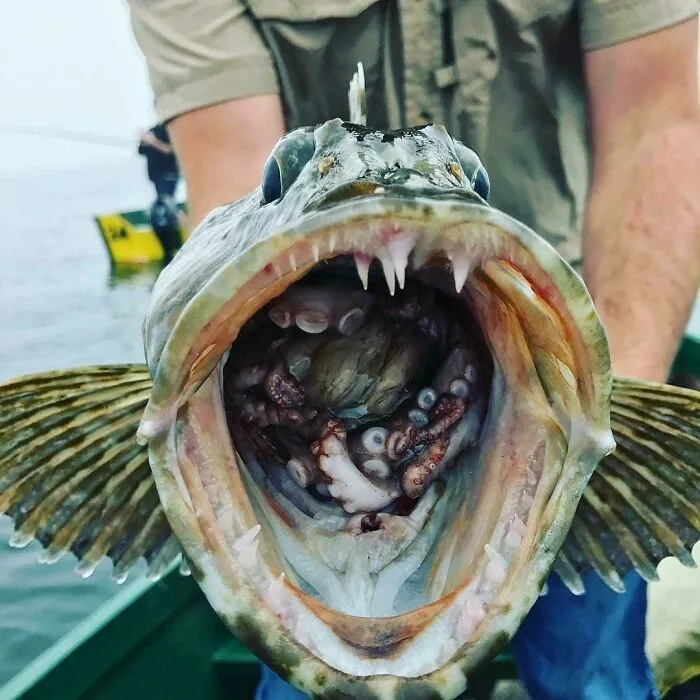 30 Unhinged Pics That Ended Up On This Online Group, Dedicated To The Weird And Questionable (New Pics)