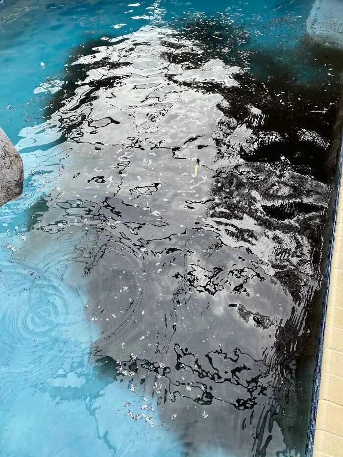Trabajo limpiando piscinas y hoy he volcado una maceta enorme y ha caido al agua