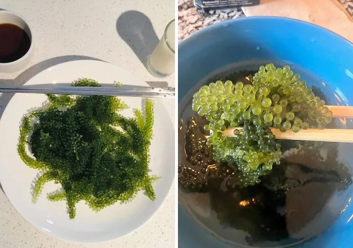 <span Style="Font:inherit;color:#d74b1f;"> Dehydrated Sea Grapes </Span> Are Raisin The Bar When It Comes To Weird Snacks