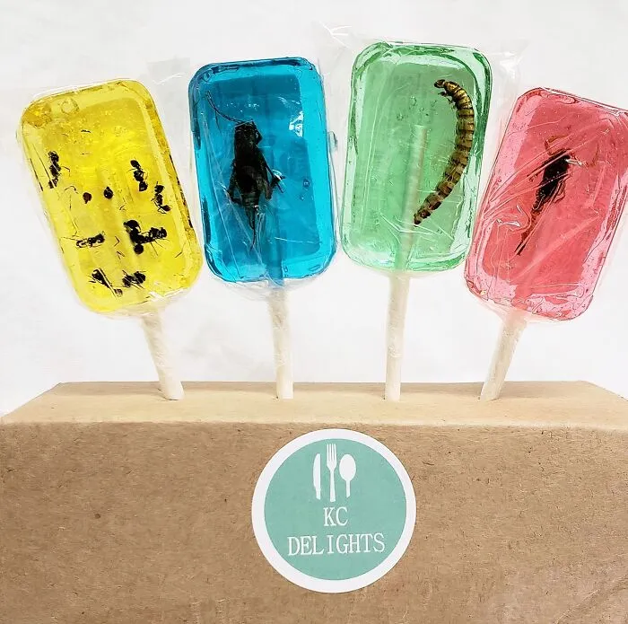 <span Style="Font:inherit;color:#d74b1f;"> Insect Sucker Lollipops </Span> Are Giving Big Time 'Fear Factor' Energy