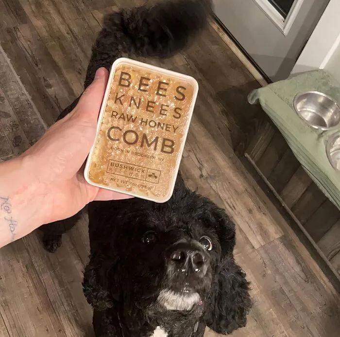 You'd Better Bee-Lieve The Hype Around This <span Style="Font:inherit;color:#d74b1f;"> Edible Raw Honeycomb </Span>