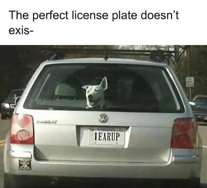 50 Hilarious Memes To Brighten Up Your Day