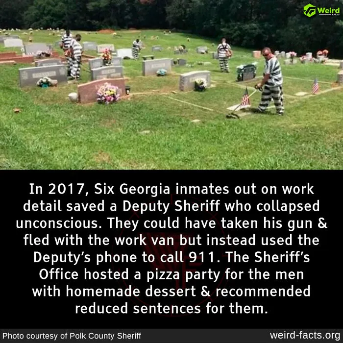 50 “Weird Facts” That You Might Not Have Known Before Today (New Pics)