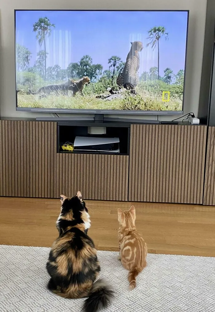 There Is Nothing Like Watching Your Relatives On TV