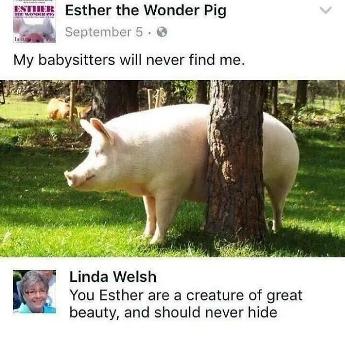 30 Delightfully Wholesome Boomer Moments That Melted The Internet’s Hearts, Shared On X (New Pics)