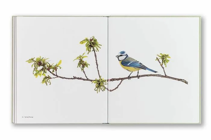 This Artist Photographs Birds On Plants And Branches In A Studio (30 Pics)