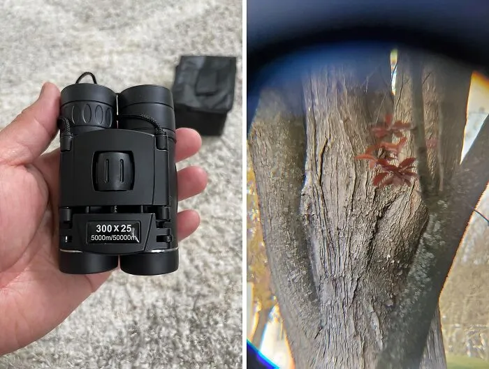 See The World Up Close (And Share It!) With The <span Style="Font: Inherit; Color: #d74b1f;"> High Powered Mini Pocket Binoculars With Phone Adapter</Span>