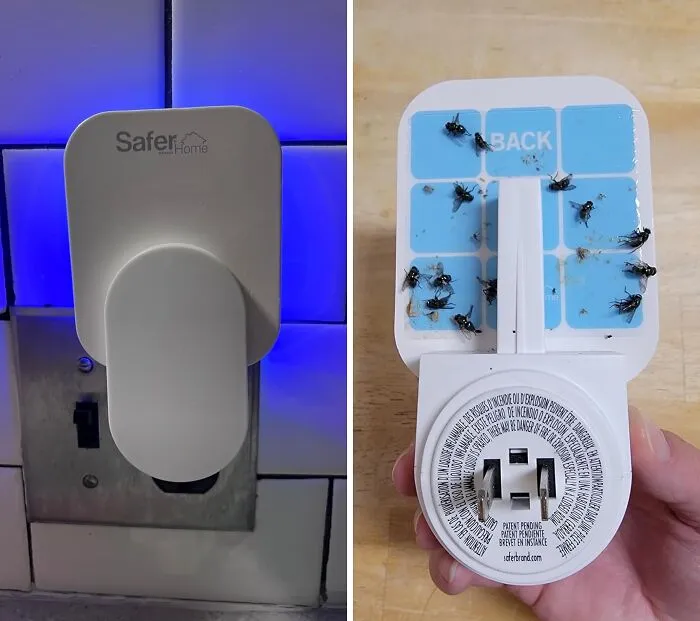 <span Style="Font: Inherit; Color: #d74b1f;"> Indoor Plug-In Fly Traps</Span>: Because Nobody Wants To Share Their Food With Flies