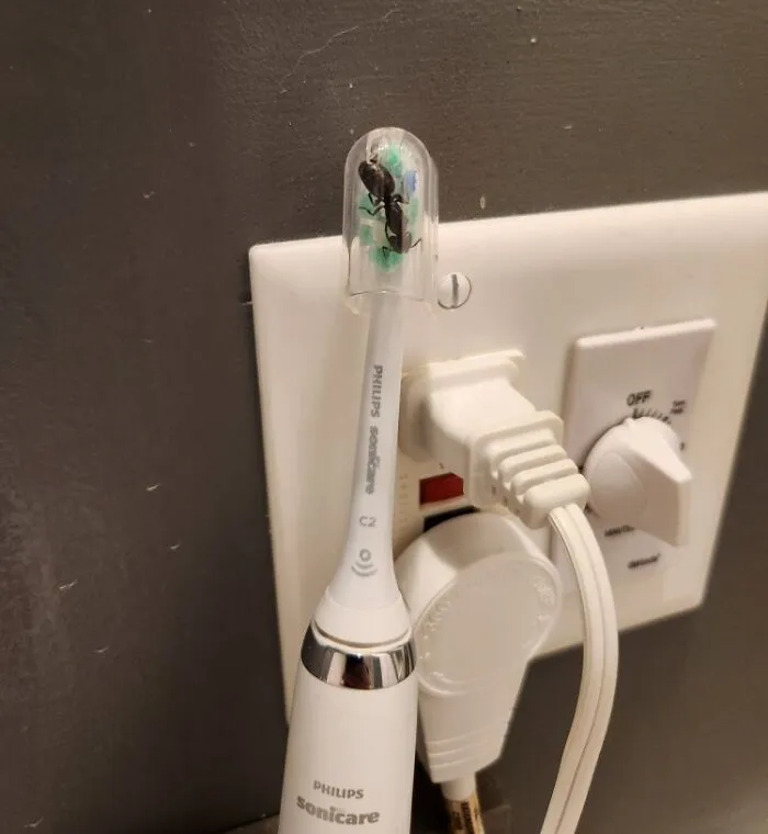 Anoche me iba a cepillar los dientes y...