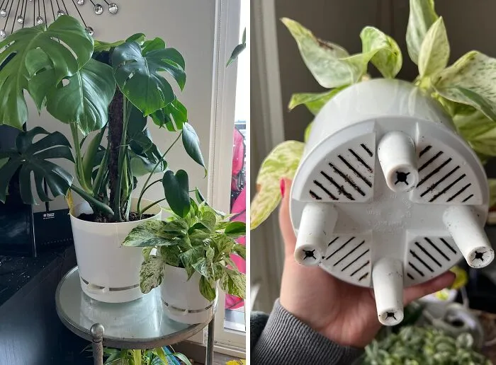 Thirsty Plant? Not Anymore! The <span Style="Font: Inherit; Color: #d74b1f;"> Self-Watering Self-Aerating Deep Reservoir Planter</Span> Does The Work For You!