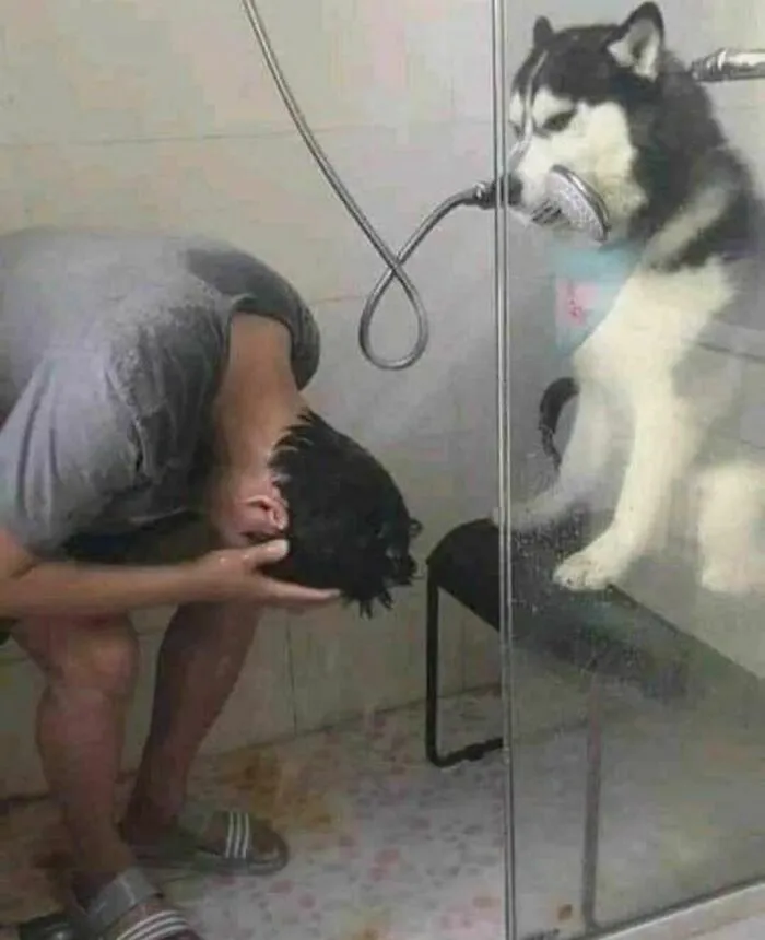 137 Horrible But Funny Pics That Might Make You Uncomfortable
