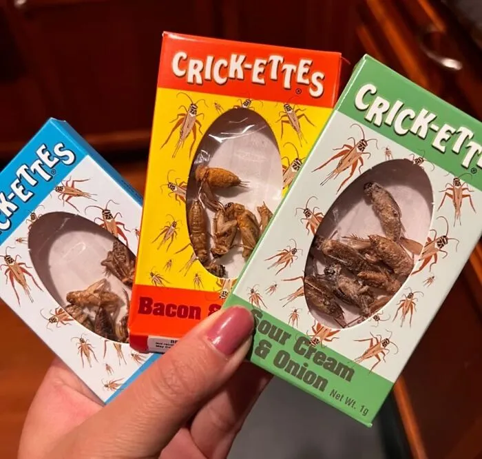 Don't Be A Chicken, Try These <span Style="Font:inherit;color:#d74b1f;"> Crick-Ettes Sampler Gift Packs </Span>