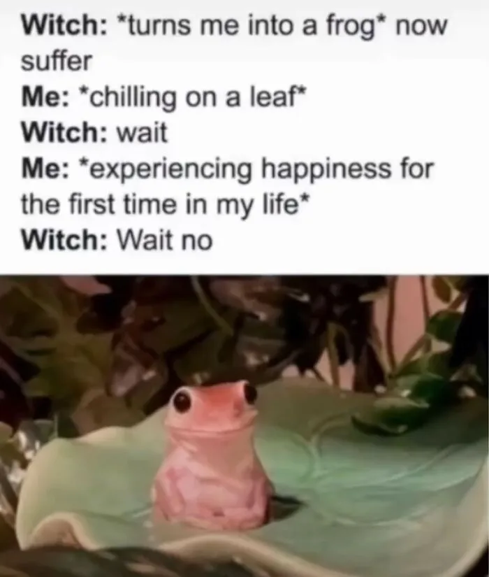 ‘Animals With Vibing Auras’: 50 Hilarious Pics Of Creatures Doing Random Things