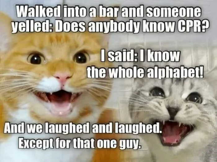 This Facebook Page Shared 50 Funny Puns That Deserve More Appreciation