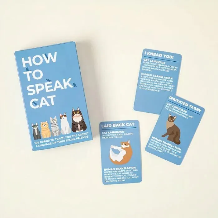 <span Style="Font:inherit;color:#d74b1f;"> 'How To Speak Cat' Cards </Span>: If You Have Ever Wanted To Understand Your Feline Friend, This Is Your Chance
