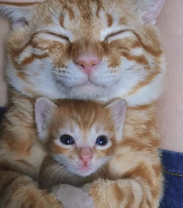 Dad's Pride