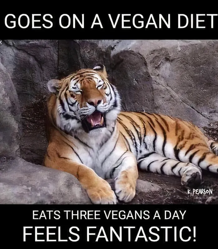 This Facebook Page Shared 50 Funny Puns That Deserve More Appreciation