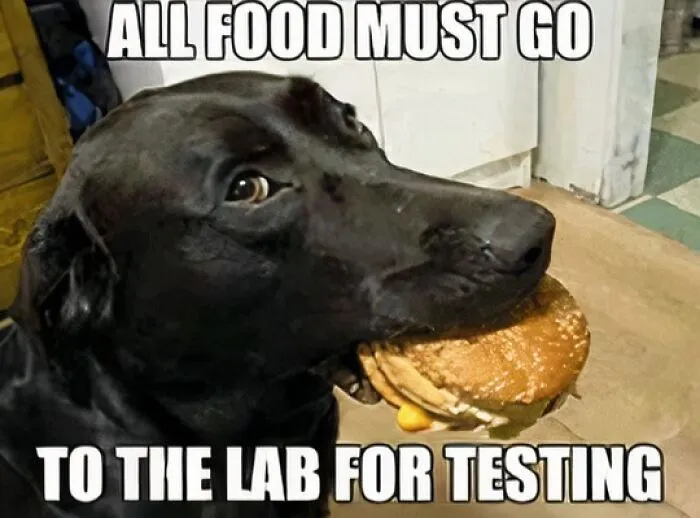 This Facebook Page Shared 50 Funny Puns That Deserve More Appreciation