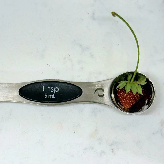 Tiny strawberry fits perfectly in a teaspoon, highlighting hilarious harvesting fails.