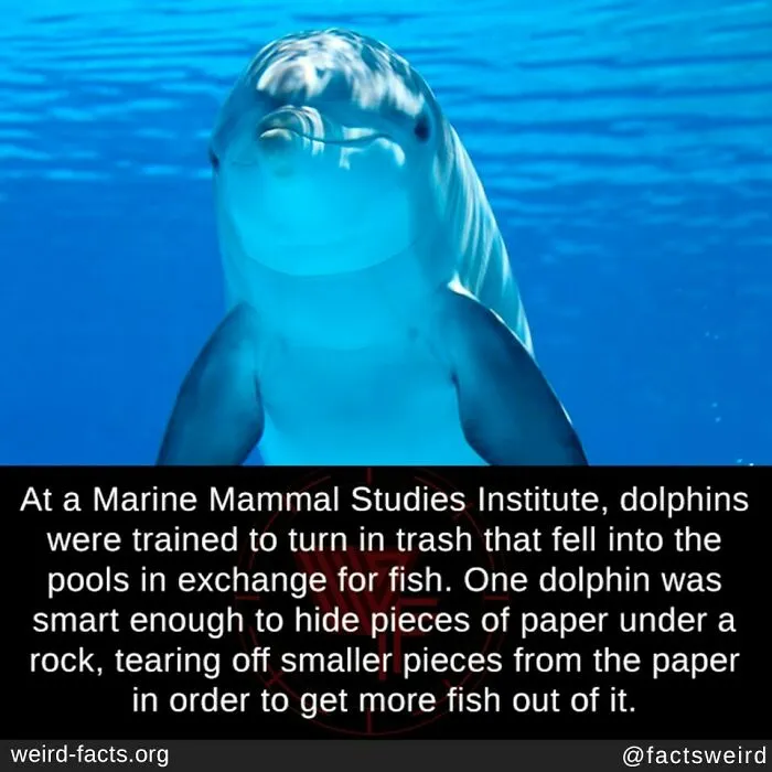 50 “Weird Facts” That You Might Not Have Known Before Today (New Pics)